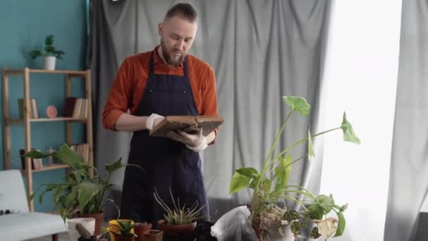 Bel Homme Replantant Des Plantes Intérieur Dans Nouveaux Pots Lit — Video