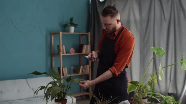 ハンサムな男は ポット植物の乾燥したと日焼けの葉の電話で写真を撮ります 植物病の概念について ホームガーデニングモバイルアプリ コピースペース — ストック動画