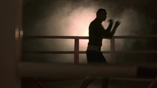 Kickboxer在黑暗的背景 年轻男子跆拳道在竞技场 混合武术的概念 复制空间 — 图库视频影像
