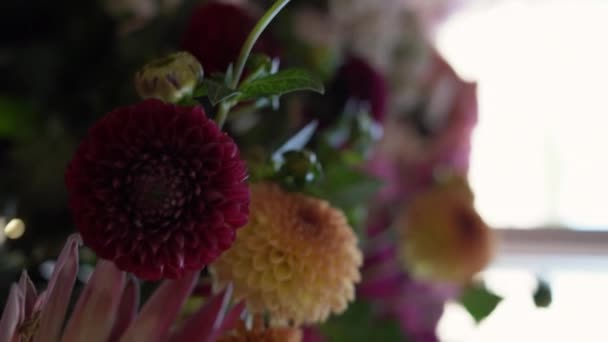 Вид Зверху Багато Різних Кольорів Квітковому Магазині Квіткова Вітрина Красиві — стокове відео