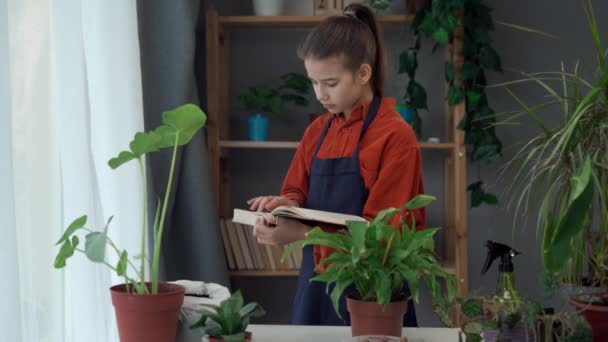 Dziecko Zajmowało Się Swoim Ulubionym Hobby Domu Przesadzaniem Roślin Domowych — Wideo stockowe