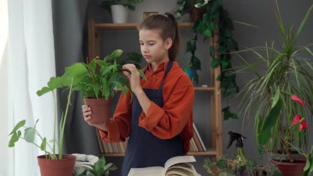 앞치마에 소녀는 오래된 냄비에 꽃으로 지구를 — 비디오