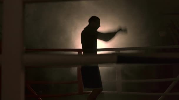 拳击场上英俊的年轻人一边热身一边练习 拳击的概念 复制空间 — 图库视频影像