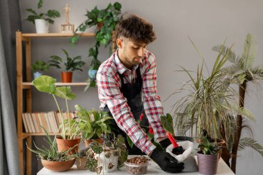 Genç Arap erkek bitkilerle ilgilenen bitki sever. Adam evde saksı bitkisi naklediyor. Boşluğu kopyala