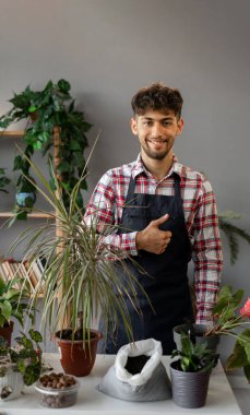 Bahar bitkileri bakım konsepti. Yakışıklı genç adam evdeki yeni çömleğe bitki naklediyor. Boşluğu kopyala