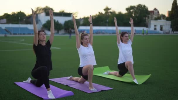 Groep Vrouwen Die Yoga Beoefenen Natuur Trainen Een Stadion Met — Stockvideo