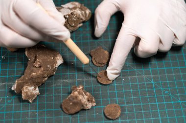 Erkek arkeolog ya da kazıcı antik paraları restore ediyor, yakın plan. Restoratör, koruma. Arkeolojik kavram. Üst görünüm