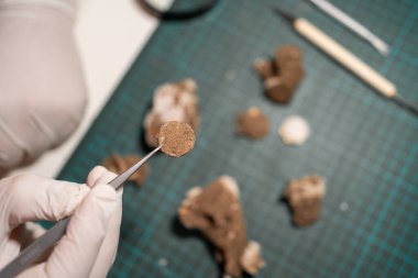 Arkeolog antik paraları restore ediyor, yakın plan. Restoratör koruması. Arkeolojik kavram. Üst görünüm