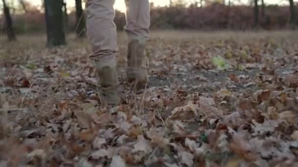 Passeio Livre Close Pés Masculinos Botas Caminhada Entre Folhas Caídas — Vídeo de Stock