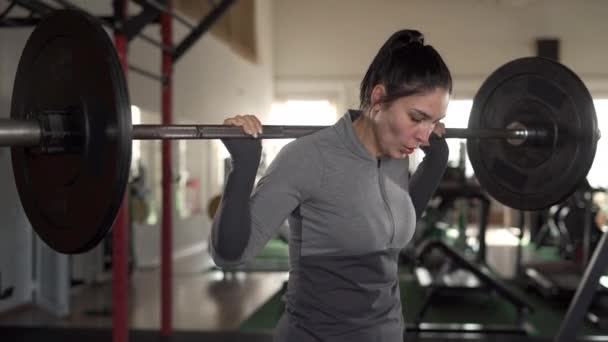 女人用杠铃做蹲式运动 女健美运动员在体育馆举重 复制空间 — 图库视频影像