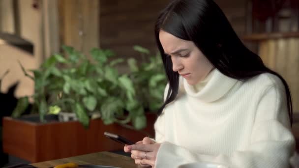 女性博主使用智能手机在咖啡店内部进行在线社交 带着现代手机连接无线网络的希斯特女孩 复制空间 — 图库视频影像