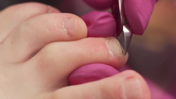 Pedicure Master Using Nail Nippers While Trimming Toenails Manicure Salon — Stock Video