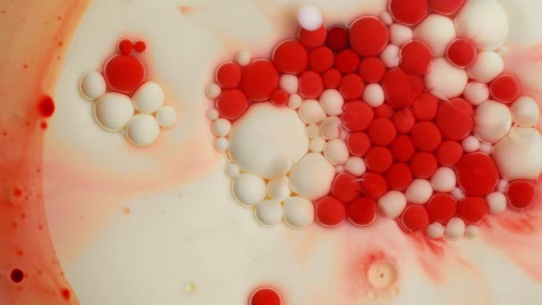 Rojo Blanco Artístico Gota Pintura Flotando Leche Fondo Abstracto Ligero — Vídeos de Stock
