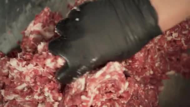 Koch Mischt Hackfleisch Mit Gewürzen Für Hamburger Pasteten Von Hand — Stockvideo