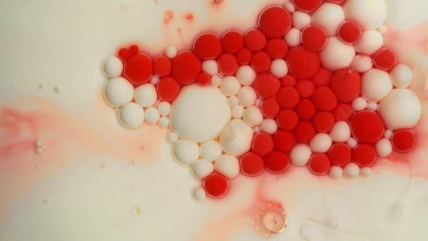 Czerwono Białe Artystyczne Krople Farby Pływające Mleku Lekkie Abstrakcyjne Tło — Wideo stockowe