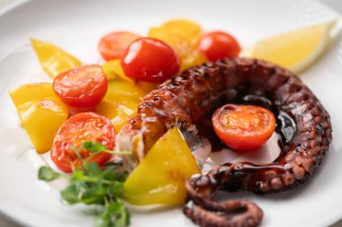 Dokunaçlı kalamar salatası, domates ve limonla servis edilir. Restoranda beyaz bir tabakta. Boşluğu kopyala