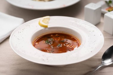 Geleneksel Ukrayna çorbası. Tabakta kırmızı pancar çorbası. Ukrayna gıda kavramı