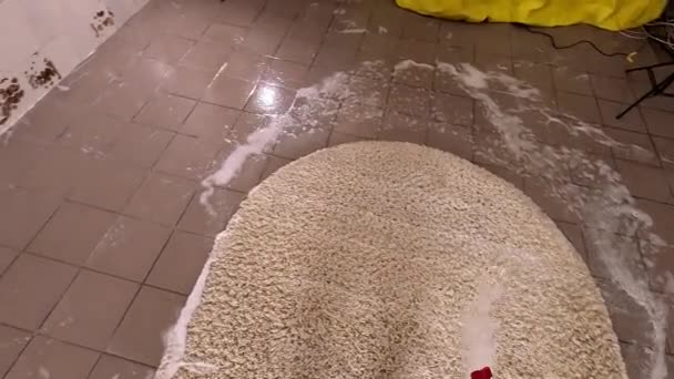 Reinigungskräfte Der Teppichreinigung Verwenden Hochdruckreinigung Ansicht Von Oben Nahaufnahme — Stockvideo
