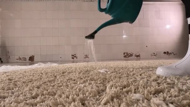 Pembersihan Karpet Profesional Pekerja Binatu Menuangkan Air Karpet Kotor Sebelum — Stok Video