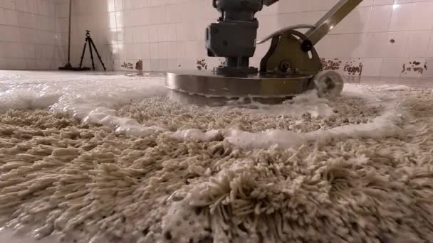 Professionelle Teppichreinigung Mit Einem Speziellen Staubsauger Mit Schaumstoff Einsatz Nahaufnahme — Stockvideo