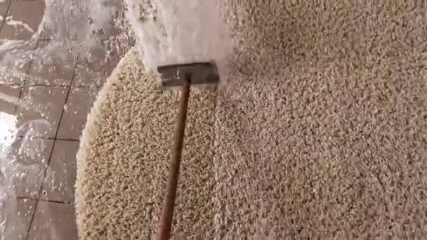 사람은 거품에서 더러운 카펫을 청소합니다 클로즈업 — 비디오