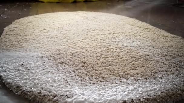 Professional Carpet Washing Applying Chemistry Foam Carpets Copy Space — Stock Video