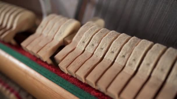 Martillos Cuerdas Dentro Del Piano Cerca Martillo Acción Tecla Piano — Vídeo de stock