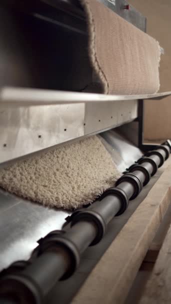 Lavagem Automática Limpeza Tapetes Limpeza Poeira Linha Industrial Close — Vídeo de Stock