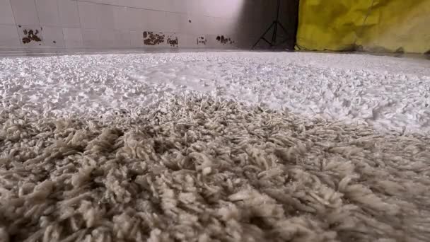 Lavagem Carpete Profissional Aplicando Espuma Água Tapetes Sujos Para Limpeza — Vídeo de Stock