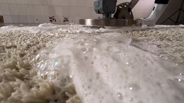 Профессиональная Концепция Очистки Ковров Человек Очищает Грязный Ковер Помощью Пены — стоковое видео
