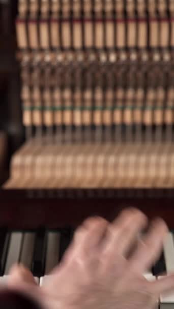 Pianiste Jouant Piano Avec Mécanisme Piano Ouvert Intérieur Vidéo Verticale — Video