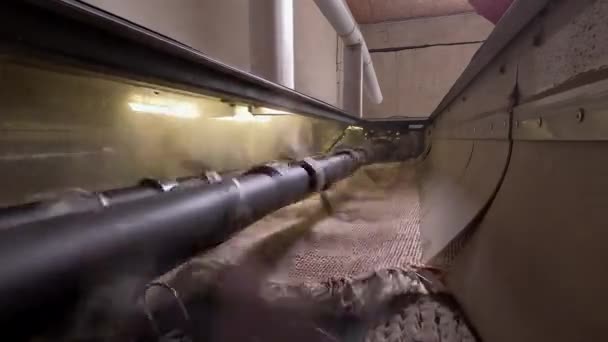 Temizlik Işi Deri Kayışlarla Toz Atma Makinesinde Halı Dövme Işlemi — Stok video