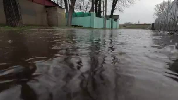 秋の雨水の閉鎖はアスファルトの大きなプドルに落ち 雨季には豪雨 コピースペース — ストック動画