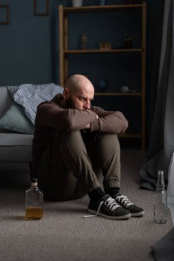 Alkolizm ve insan konsepti. Sakallı alkolik erkek kanepenin yanında viski şişesiyle oturuyor. Boşluğu kopyala