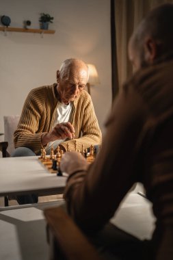 Yaşlı bir baba ve yetişkin oğlu satranç oynuyor, birlikte kaliteli zaman geçiriyorlar. Baba, ortak hobilerini ve aile bağlarını vurgulayarak düşünceli bir hamle yapıyor..