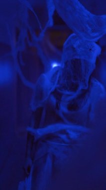 Hayalet mavisi parıltılı ağlara yakalanmış perili gelin. Ölülerin mistik bayramının ifadesi. Dikey video