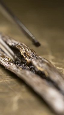 Bıçaklı vanilya kapsülünü yavaş çekimde, yakın çekimde, makro çekimde kesiyor. Dikey video