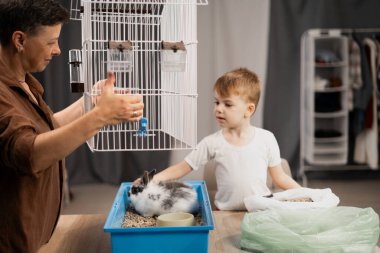 Anne ve küçük oğlu küçük bir aile, doğal ortamında bir tavşana bakıyorlar. Ev ortamında sorumluluk ve evcil hayvan bakımı becerilerini geliştiriyorlar. Boşluğu kopyala