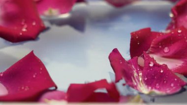 Dalgalar ve gül yapraklarıyla su dokusu yüzeyi. Spa ve kozmetik konsepti. Boşluğu kopyala