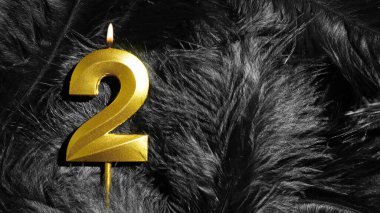 Siyah Tüyler Arkaplan 'da 2 numaralı doğum günü mumu. İkinci sınıf. Doğum günü ve yıldönümü konsepti. Boşluğu kopyala
