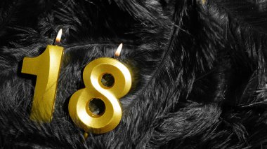 18 numaralı doğum günü mumu Kara Tüyler Arkaplanında. On sekizinci yıl. Doğum günü ve yıldönümü konsepti. Boşluğu kopyala