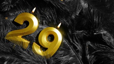 29 numaralı doğum günü mumu Kara Tüyler Arkaplanında. Yirmi dokuzuncu yıl. Doğum günü ve yıldönümü konsepti. Boşluğu kopyala