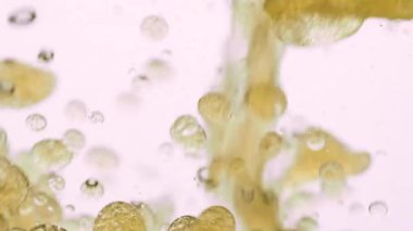 Altın yağ akışının beyaz arka planda suda çözünerek sanatsal kabarcıklı doku oluşturduğu makro çekim. Soyut veya kozmetik kavramlar için 4K yavaş çekim sıvı hareketi.