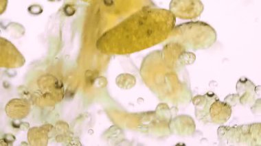 Yavaş Yağ Hareketi ve beyaz arka planda suda hava kabarcıkları. Köpüklü sıvı. Macro Shot. Yakın plan.