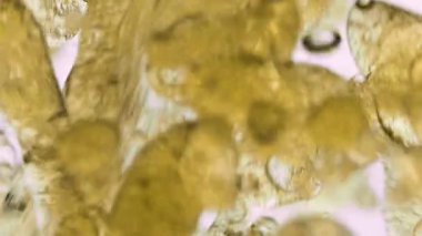 Yağ yavaşça suya dökülerek kıvrımlı şekiller oluşturur, sıvılarda kabarcıklar ve dokulu desenler oluşturur, kimyasal reaksiyon kavramı, makro görüş, soyut akışkan hareket. Yakın plan.