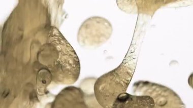 Yüzen kabarcıkları, detaylı dokuları, akışkan ortamda pürüzsüz yağlı hareketleri, kimya kavramını ve soyut tasarımı gösteren yakın çekim yağı ve su etkileşimi. Boşluğu kopyala