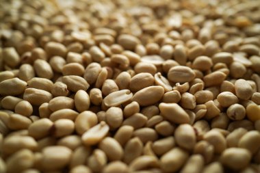 desenli yerfıstığı arka planı, fındık yapısı, atıştırmalık ve yiyecek kavramı