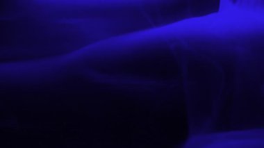 Koyu arkaplanda yavaş yavaş dönen gerçekçi mavi duman. Atmosferik sis yavaşça süzülerek mistik ve dramatik bir sis etkisi yaratıyor. Yavaş çekimde yükselen mavi buharın soyut hareketi.