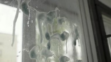 Temizlik işçisi pencereye sprey sıkarken yakın plan, parlaklık ve temizlik için özel paspas kullanıyor. Ev işleri, temizlik ve profesyonel ev temizliği hizmetleri kavramı.