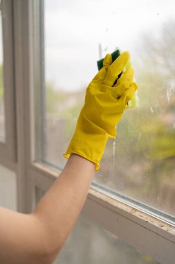 Dairede sünger kullanarak kadın el temizleme penceresini kapatın. Kadın ev hanımı. Ev işi ve temizlik konsepti.